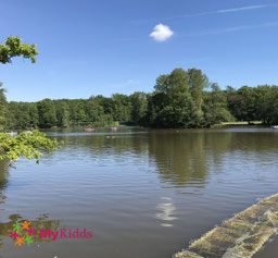 Oberwaldhaus Steinbrücker Teich