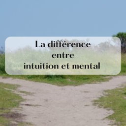 Un chemin qui se sépare en deux pour montrer la différence entre intuition et mental