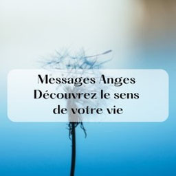 Fleur de pissenlit. messages anges
