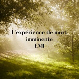 Un sous-bois lumineux pour parler de l'expérience de mort imminente.l'EMI