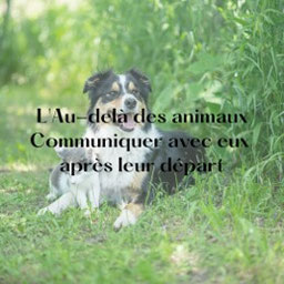 Un chat et un chien. communiquer avec les animaux défunts