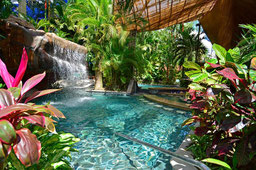 Arenal Combo Tour: Rafting + Baldi Thermal + Dinner