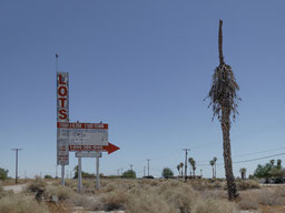 Abandoned camping lots and dead palm trees surround the lake. Salton Sea, 2019