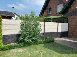 Betonzaun Motiv Fels - Brümmer Bad Oeynhausen