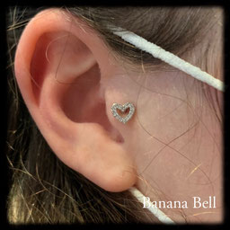 Piercing tragus plainpalais