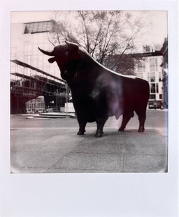 Bulle und Bär, Börse, Kunst, Ausstellung, Frankfurt am Main, Frankfurt, Museum, Polaroid i-Type, Polaroid b&w, b&w, schwarz-weiß Polaroid, Fotografie, Vintage, Nostalgie, Polaroid Kunst, Hausse