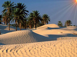 Douz, la puerta del desierto del Sahara