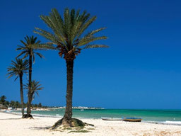 La isla de Djerba
