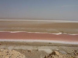 El gran lago salado de Chott el Jerid