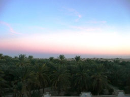 Oasis en Tozeur