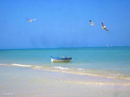 Djerba Islan
