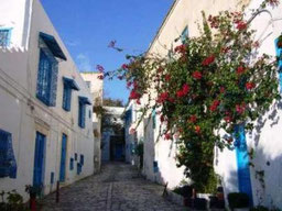 Calle de Sidi Bou Said
