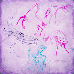 sketche-sketches-croquis-bic-couleur-middle-age-khight-dragon-wolf-horse