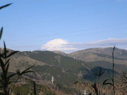 富士山