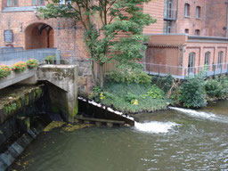 Fischtreppe an der Brausebrücke