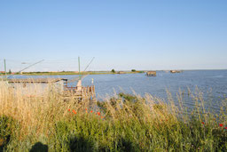 valli-di-comacchio.jpg