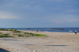 lido-degli-estensi-reiki.jpg