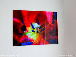 Tulpeninneres als GalleryPrint