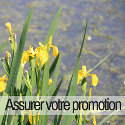 Partenaire promotion office de tourisme lac de trémelin