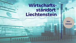 Rechtsanwalt und Steuerberater Thorsten Klinkner berät Sie bei der Gründung Ihrer Familienstiftung in Deutschland oder Liechtenstein.