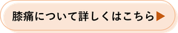 ひざ痛について詳しくはこちら