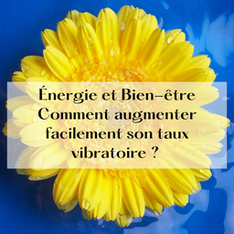 Une marguerite jaune pour augmenter le taux vibratoire.
