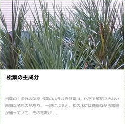 #松葉の主成分　#女松の会
