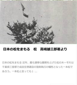 #女松の会記載,#松