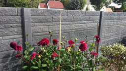 Betonzaun Motiv Fels - Brümmer Bad Oeynhausen