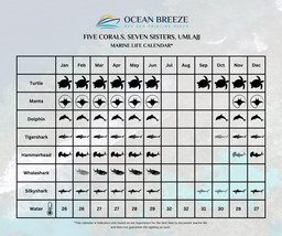 Tauchen Five Corals & Seven Sisters 