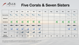 Tauchen Five Corals & Seven Sisters 