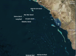 Tauchsafari Farasan Banks