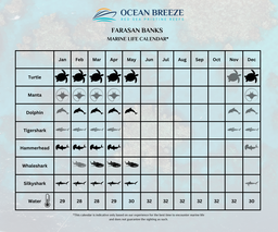 Tauchen Farasan Banks