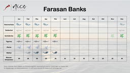 Tauchen Farasan Banks