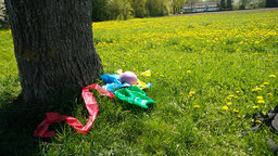 Ein Foto von dem unteren Ausschnitt eines Baumstamms, davor liegen Gymnastikbänder und ein  Ball auf einer Frühlingswiese. 
