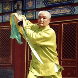白猿通背拳 中国武術 通背拳「五行掌・劈」 by 通背拳教室 #通背拳 #白猿通背拳 #五行