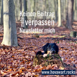 Newsletter Hovawart