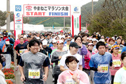 1344人のジョガーが参加した第21回竹富町やまねこマラソン=8日、西表