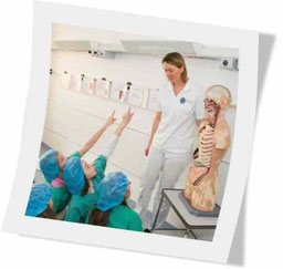 Kinderdoktor der Medizin