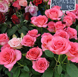 Rote Rosen gelten als das Symbol der Liebe. Neurosen haben indes eine Beziehung zu sexuellen Wunschregungen aus dem Infantilen. Bild: Marco Verch/flickr. "Rosen am Wiener Naschmarkt"