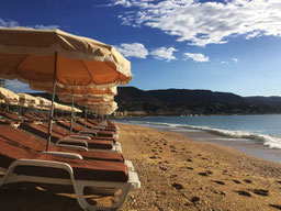 Parasols alignés devant une plage