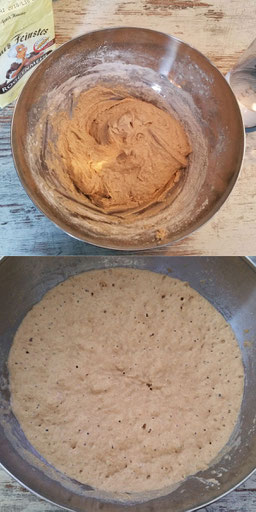 Vorteig vor und nach der Sauerteig-Gärung