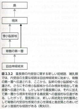 内受容に関する新しい短絡路