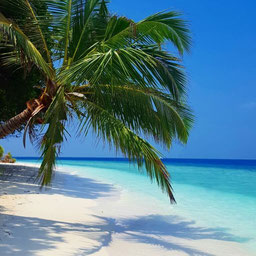 Blindingly white beaches abound on Dharavandhoo island, the Maldives. Dante Harker
