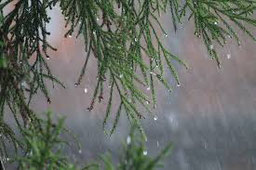 pluie acide