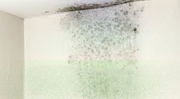 condensation
