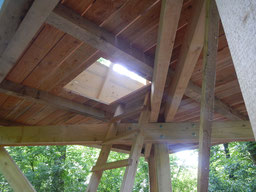 Schüler bauen ein Baumhaus