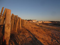 Rivedoux-Plage on Ile de Ré was used in the recreation of landing beaches in the epic war movie "The Longest Day". 