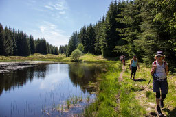 Nach den Flanken der "Menteith Hills"