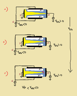 fig.2b1